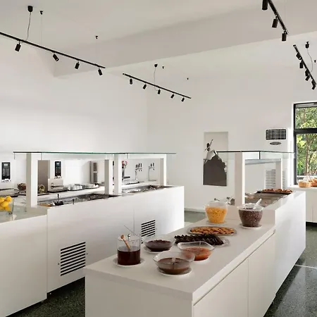 Olympios Zeus Plaka Litochorou