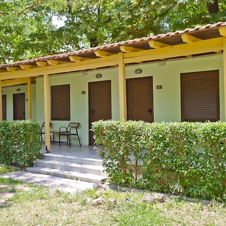 Olympios Zeus 3* Plaka Litochorou