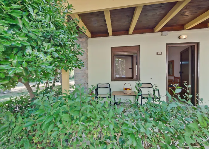 Olympios Zeus 3* Plaka Litochorou