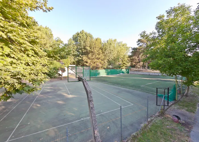 Hotel Olympios Zeus Plaka Litochorou